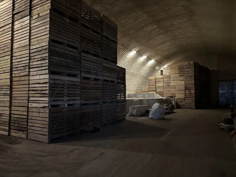  Под Тверью откроется производство натуральных картофельных чипсов 4