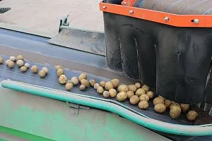 На предприятии «Тверь Агропром» дан старт проекту «Производительность труда»