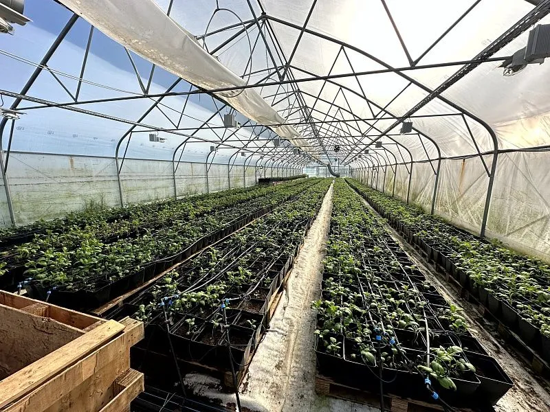 ФРП Тверской области в 2025 году профинансировал промышленные предприятия региона на общую сумму свыше 1,4 млрд рублей. 2