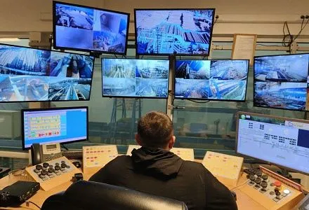  ООО «ЛПХ Сияние» успешно реализовало федеральный проект «Производительность труда»