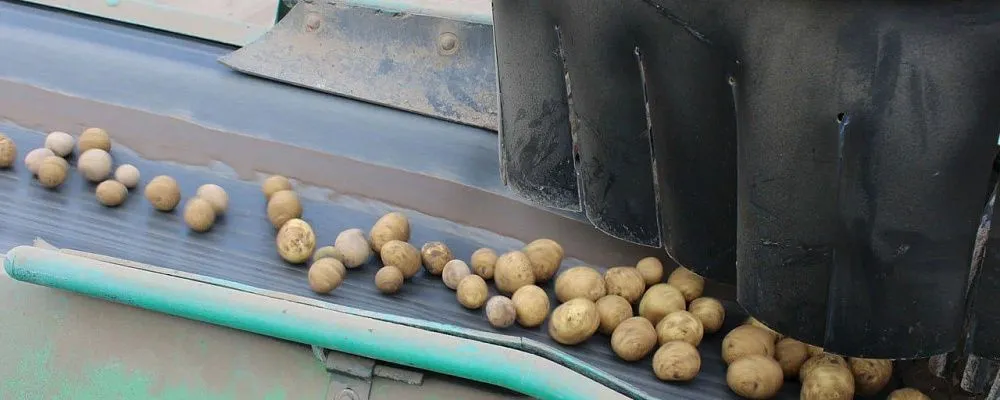 На предприятии «Тверь Агропром» дан старт проекту «Производительность труда»