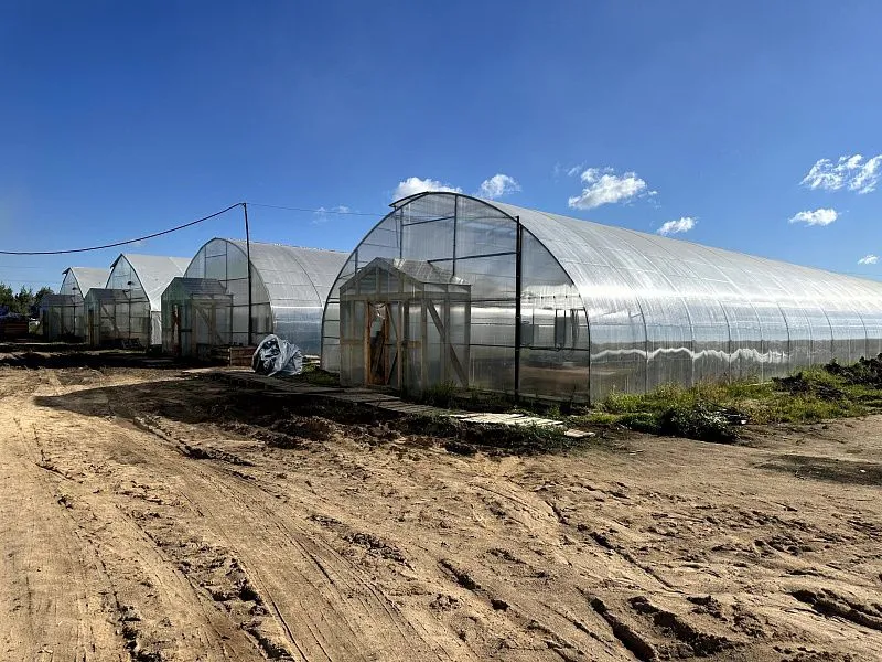  Под Тверью откроется производство натуральных картофельных чипсов 5