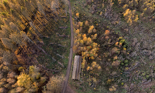 Проекты лесной промышленности с ФРП России